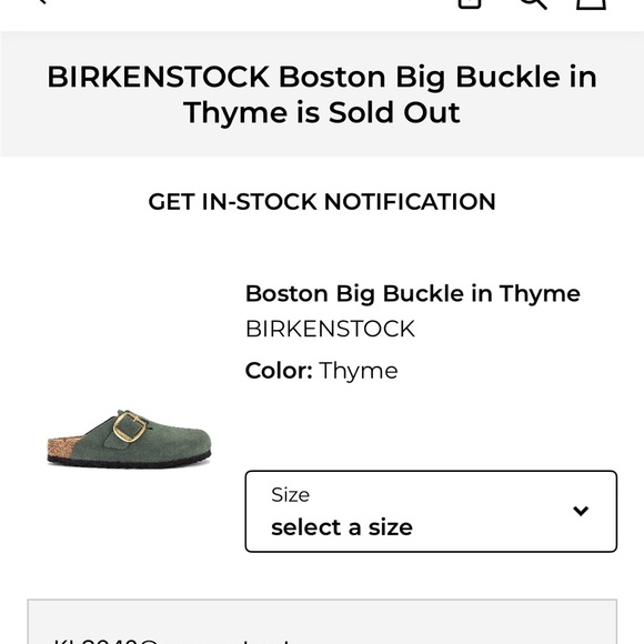 Birkenstock Thyme Clogs with Gold Buckles - Picture 8 of 14